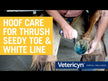 Vetericyn hoof care how to clean protect and repair thrush, seedy toe and white line