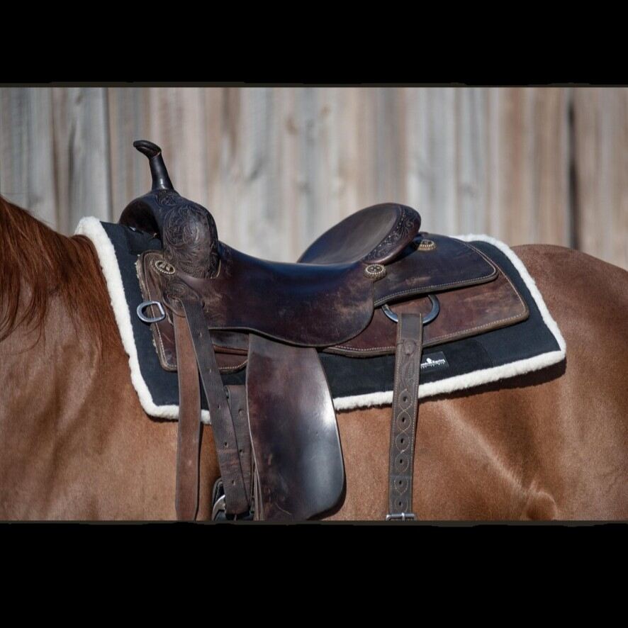 Performance Trainer Saddle Pad on model horse under a saddle as example