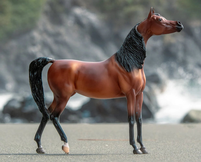 BREYER RD Marciea Bey - Champion Arabian Mare