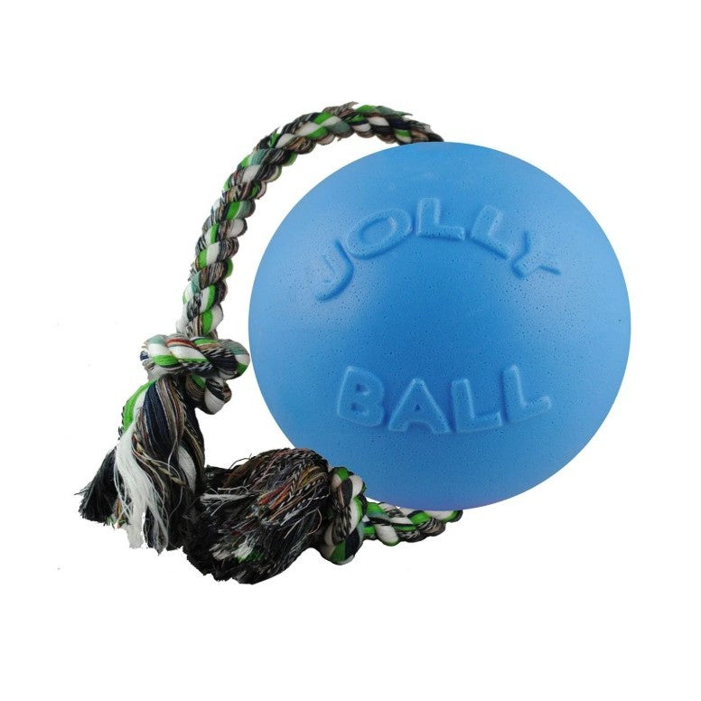 Jolly Pets Romp-n-Roll blueberry