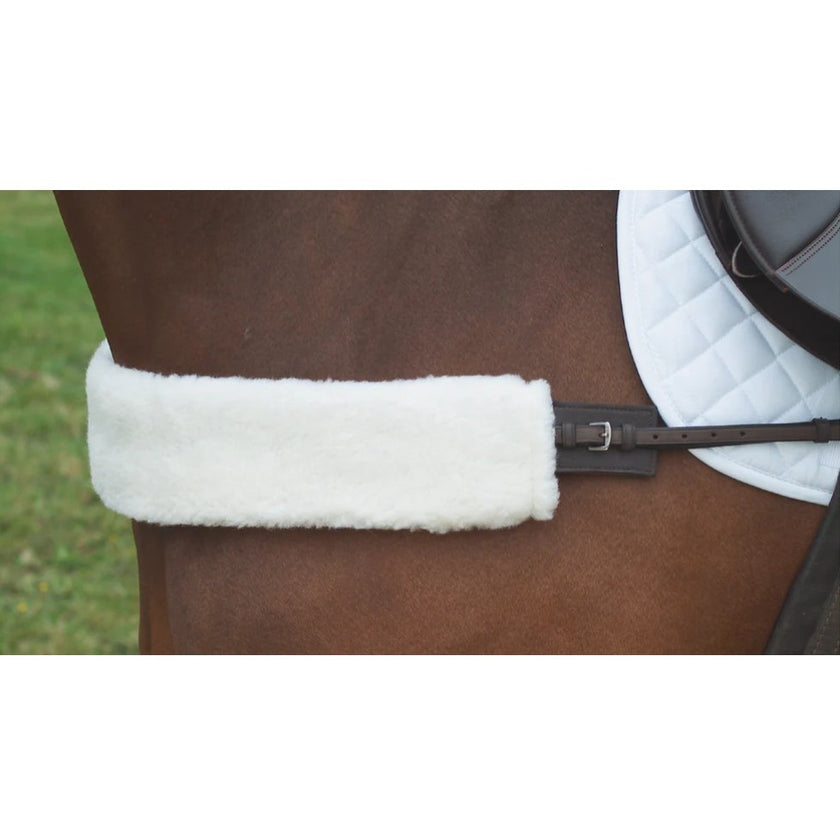 Shires ARMA Breastgirth Sleeve on horse