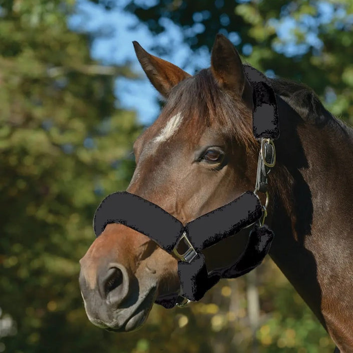 Shires ARMA SupaFleece Halter Set on horse