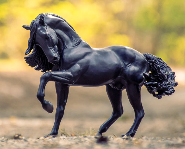 BREYER Sjoerd