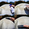 Betty's Best Skin & Coat Stain Remover - Bottle w/ sprayer, 16.9 fl oz