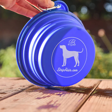 Collapse-dog-bowl-blue-silicone-bottom