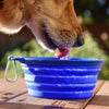 Collapse-dog-bowl-blue-silicone-model