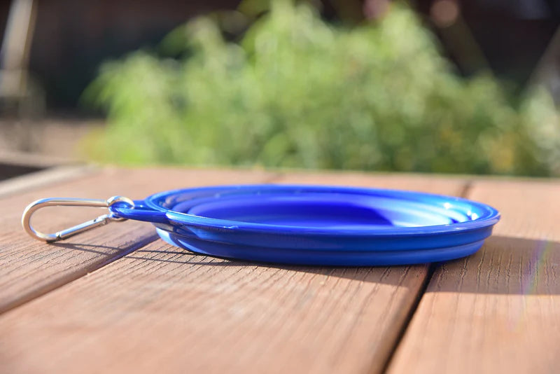 Collapse-dog-bowl-blue-silicone-flat