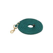 Teal 10' Poly Lead with Snap