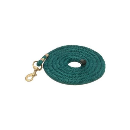 Teal 10' Poly Lead with Snap