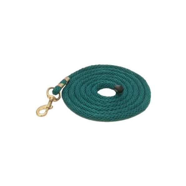 Teal 10' Poly Lead with Snap
