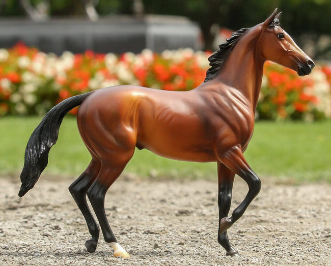 BREYER Tiz the Law
