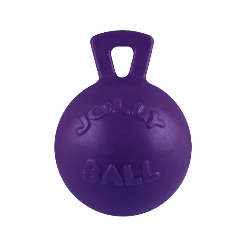 Jolly Pets Tug-n-Toss Purple