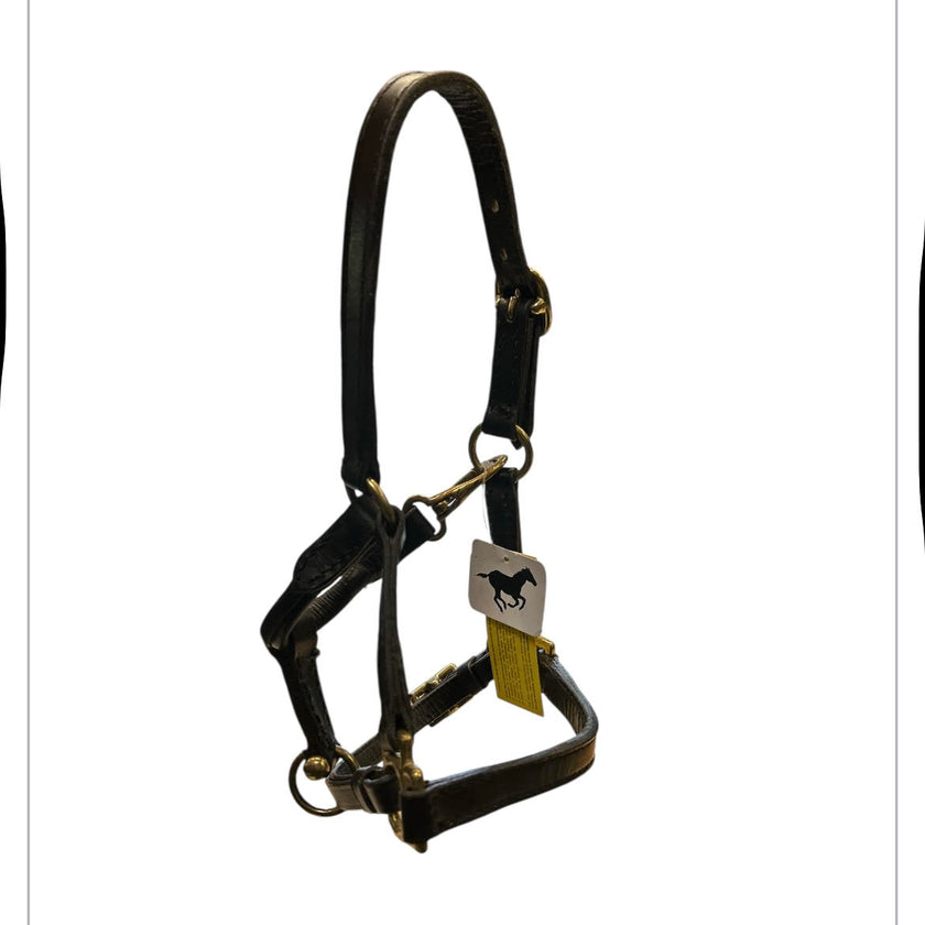 KHS-E Mini Black Leather Halter