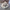 AHM High Crown Straw Cowboy Hat