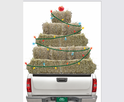 Horse Hollow Press - Horse Christmas Card: Hay Truck w/ Lights & Apple on top!