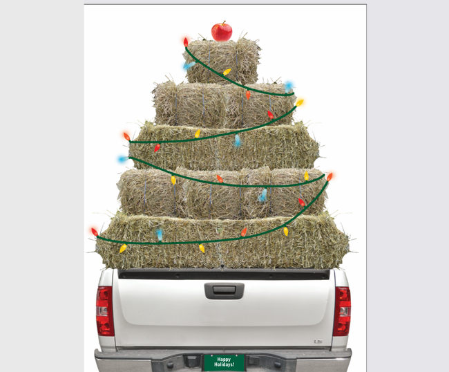 HHP Horse Christmas Card: Hay Truck w/ Lights & Apple on top!