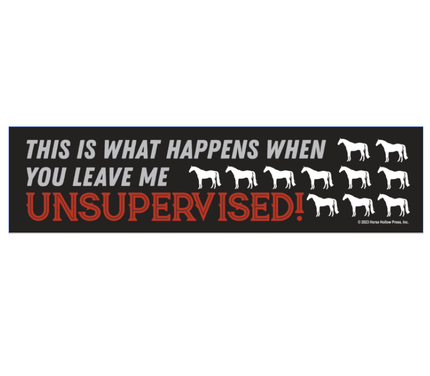Bumper Sticker with grey and red text: This is what happens when you leave me unsupervised! and horses